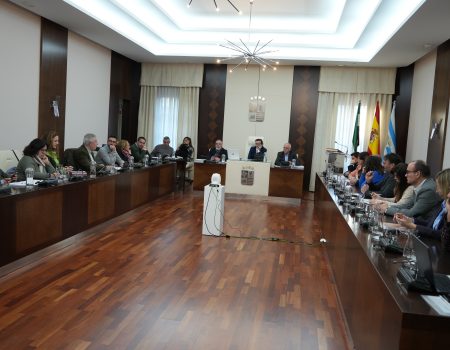 Aprobados varios asuntos de interés en el pleno ordinario correspondiente al mes de enero
