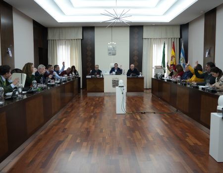 El Pleno aprueba el Plan de Infancia y Adolescencia 2022-2026