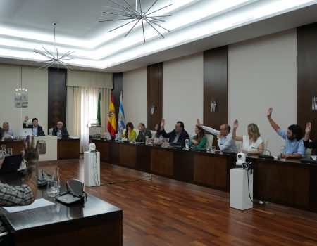 Villanueva celebra el último pleno ordinario de la legislatura