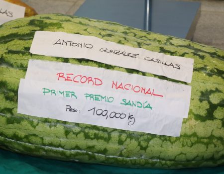 Hoy 3 de agosto se celebra el Día Internacional de la Sandía