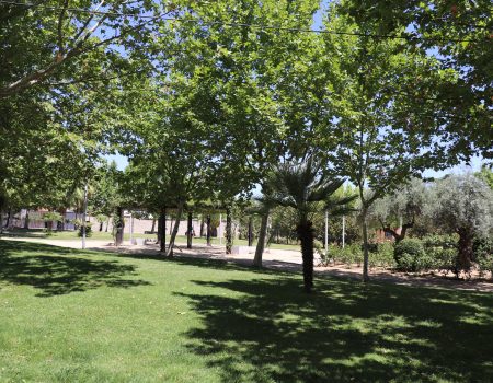 Diversos asuntos de interés se han tratado en la junta de Gobierno Local