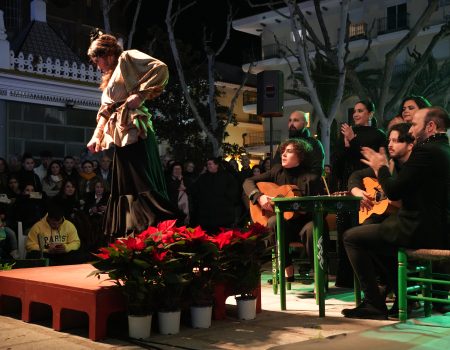 Cientos de personas asisten al espectáculo de flamenco “Bailando la Navidad”