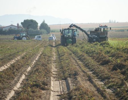 El Consejo Agrario Municipal se reúne para abordar la próxima campaña de tomate, fruta y arroz