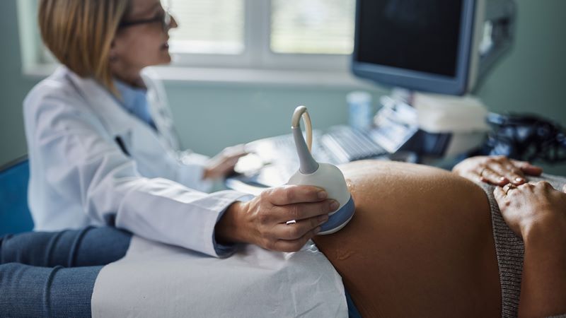 Brilla Navidad (4) (Copiar)