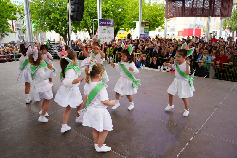 DSC07335 (Copiar)