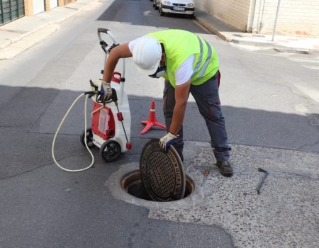 Se llevan a cabo tratamientos intensivos de desinsectación en todo el municipio