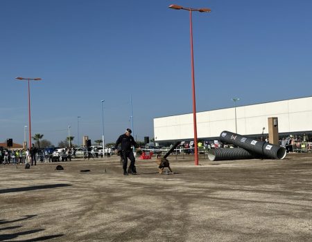 La Unidad Canina de la Policía Local hace una exhibición en el recinto ferial