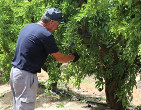 El centro EFA Casagrande oferta diversos ciclos de formación profesional forestal
