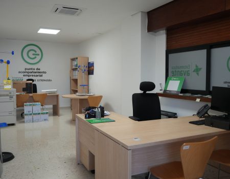 El Pleno de la Corporación pide de forma unánime a la Junta que restablezca el servicio del Punto de Activación Empresarial (PAE)