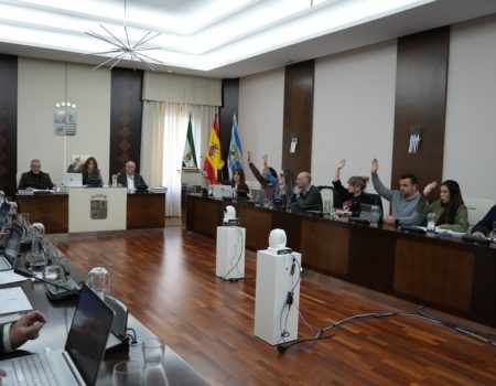 El Pleno ordinario de marzo aprueba varios asuntos de interés