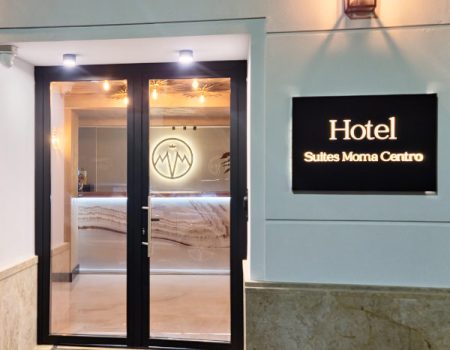 HOTEL SUITES MOMA CENTRO