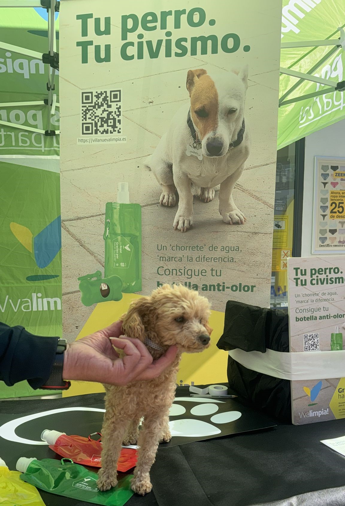 PHOTO-2025-05-15-11-26-35