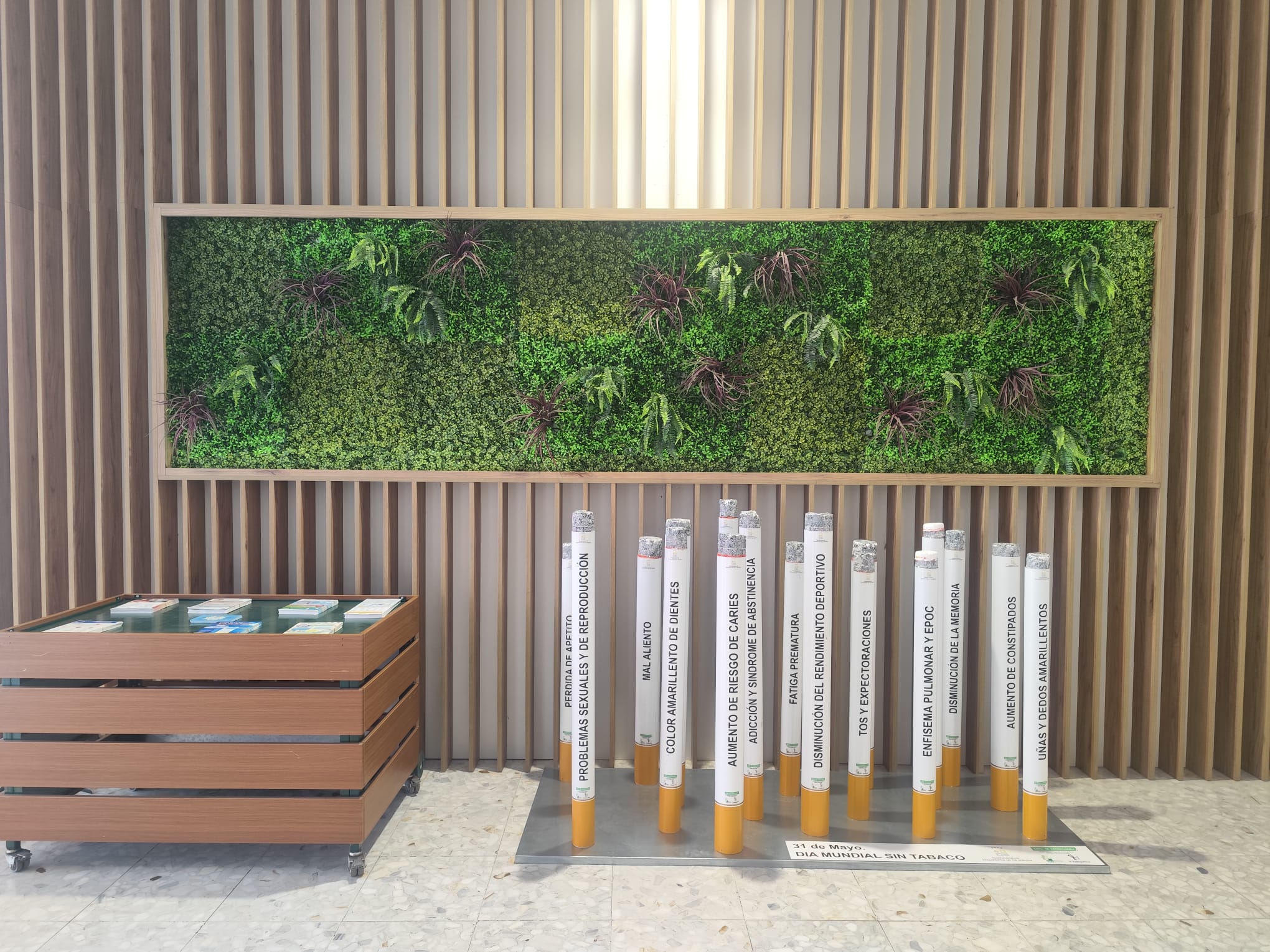 PHOTO-2025-05-30-10-45-33