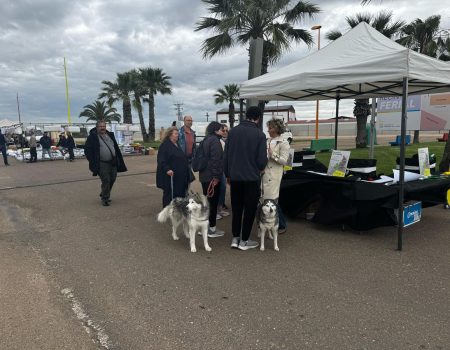 Comienza la segunda fase de la campaña “Villanueva limpia. Gracias por hacer tu parte”