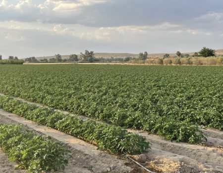 El centro EFA Casagrande oferta 3 ciclos de formación profesional forestal