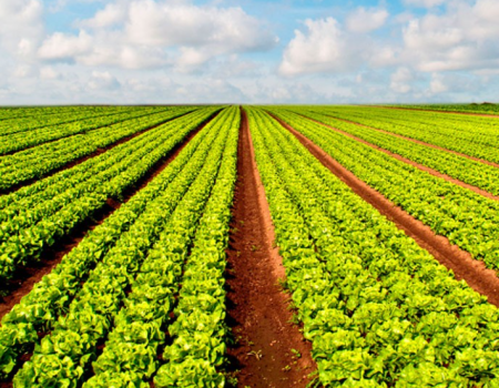 AYUDAS A LOS AGRICULTORES VILLANOVENSES PARA DESARROLLO Y MANTENIMIENTO DE SU ACTIVIDAD EN EL EJERCICIO 2025