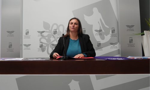 Diferentes actividades para conmemorar el Día Internacional de la Eliminación de la Violencia contra la Mujer