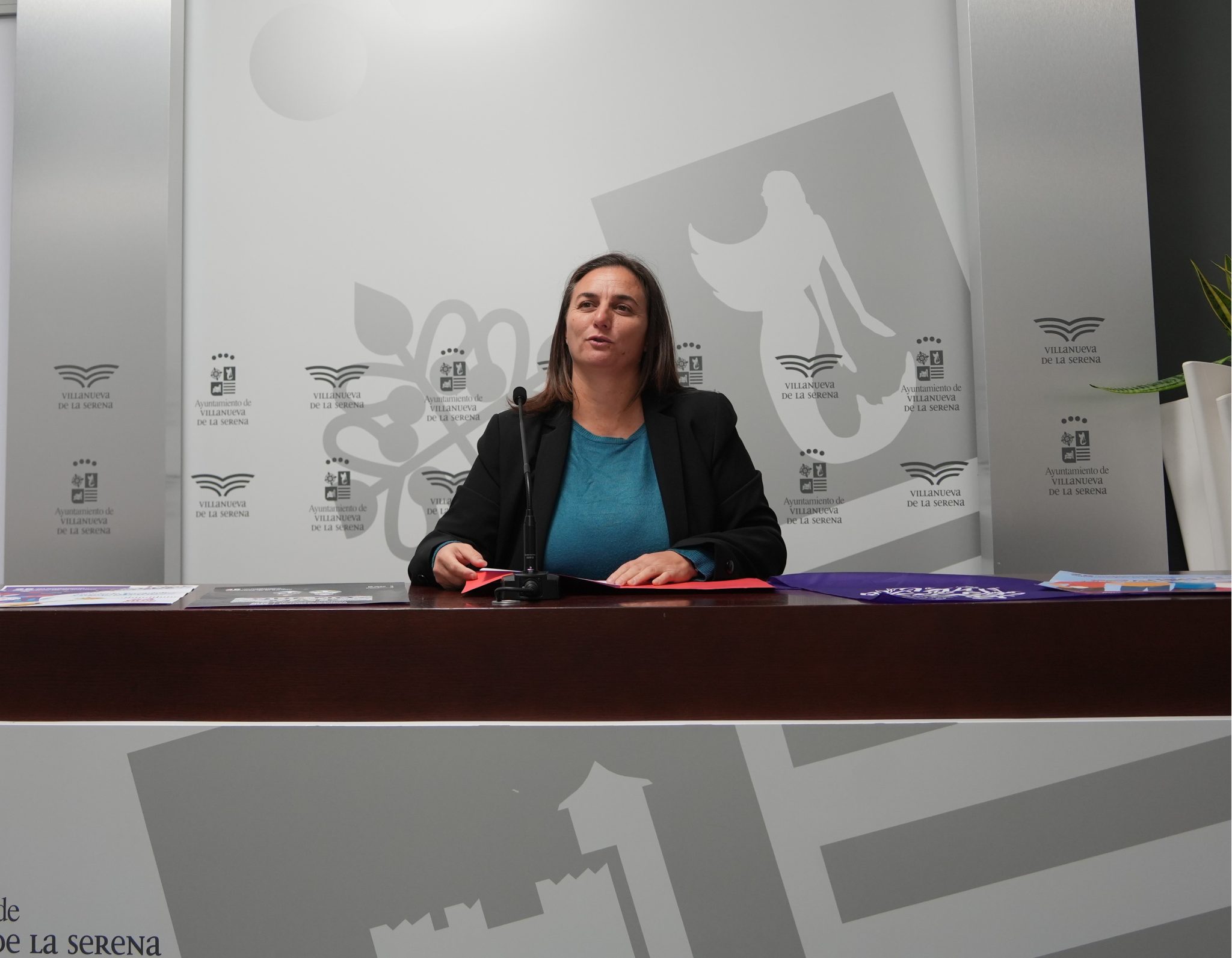 Diferentes actividades para conmemorar el Día Internacional de la Eliminación de la Violencia contra la Mujer