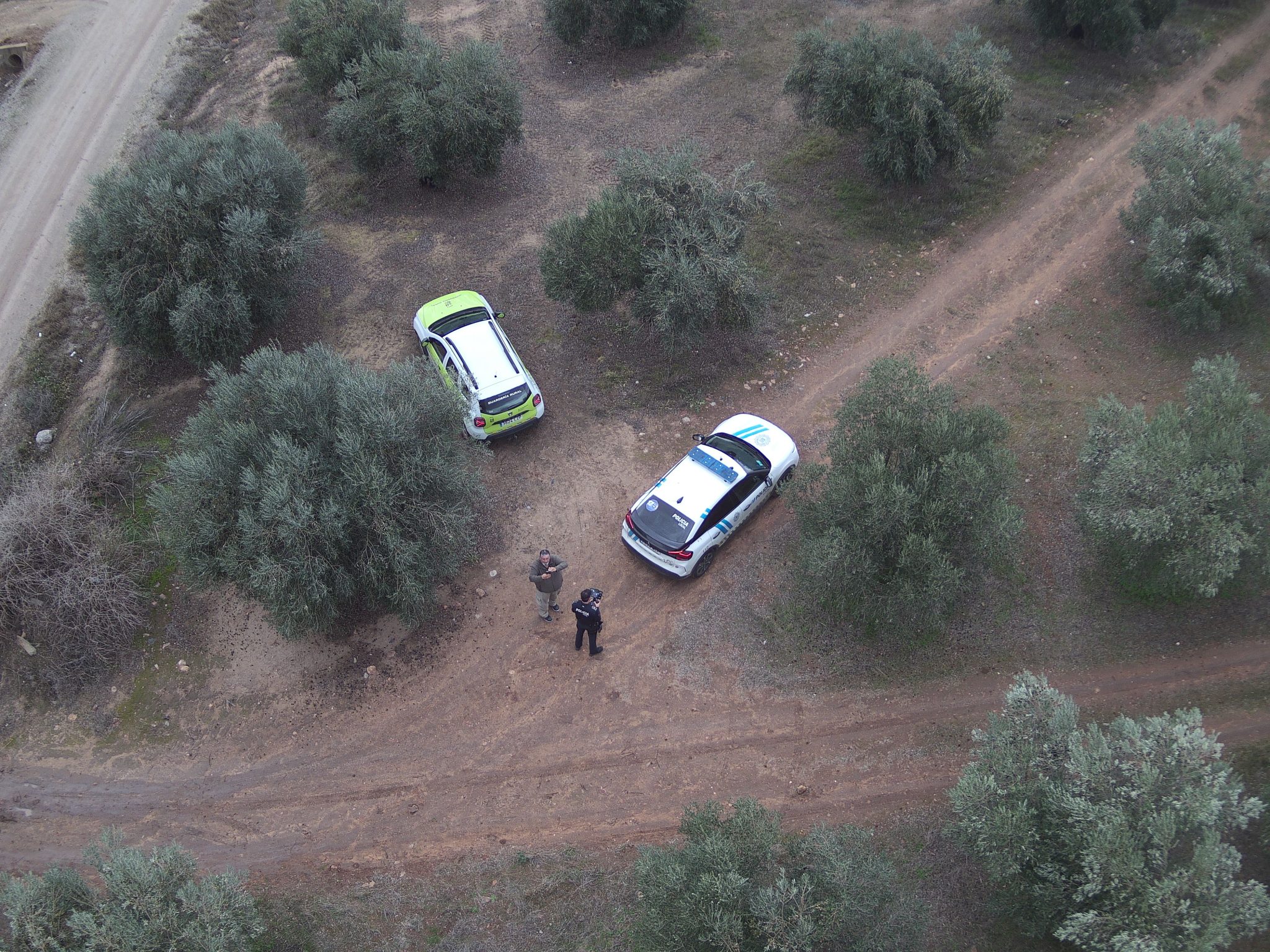 Continúan los vuelos de dron de la Policía Local para vigilar los campos en la campaña de la aceituna