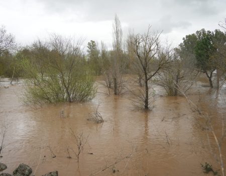 La crecida del río Zújar afecta al Badén y al último tramo del camino Los Ranchos