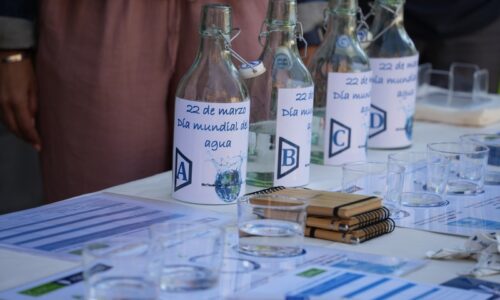 Diversas actividades con motivo del Día Mundial del Agua
