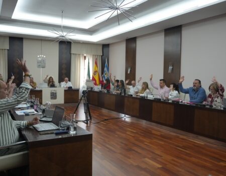 El Pleno aprueba por unanimidad varios asuntos de interés, entre ellos varias mociones