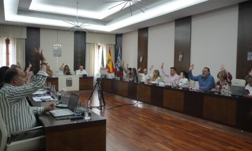 El Pleno aprueba por unanimidad varios asuntos de interés, entre ellos varias mociones