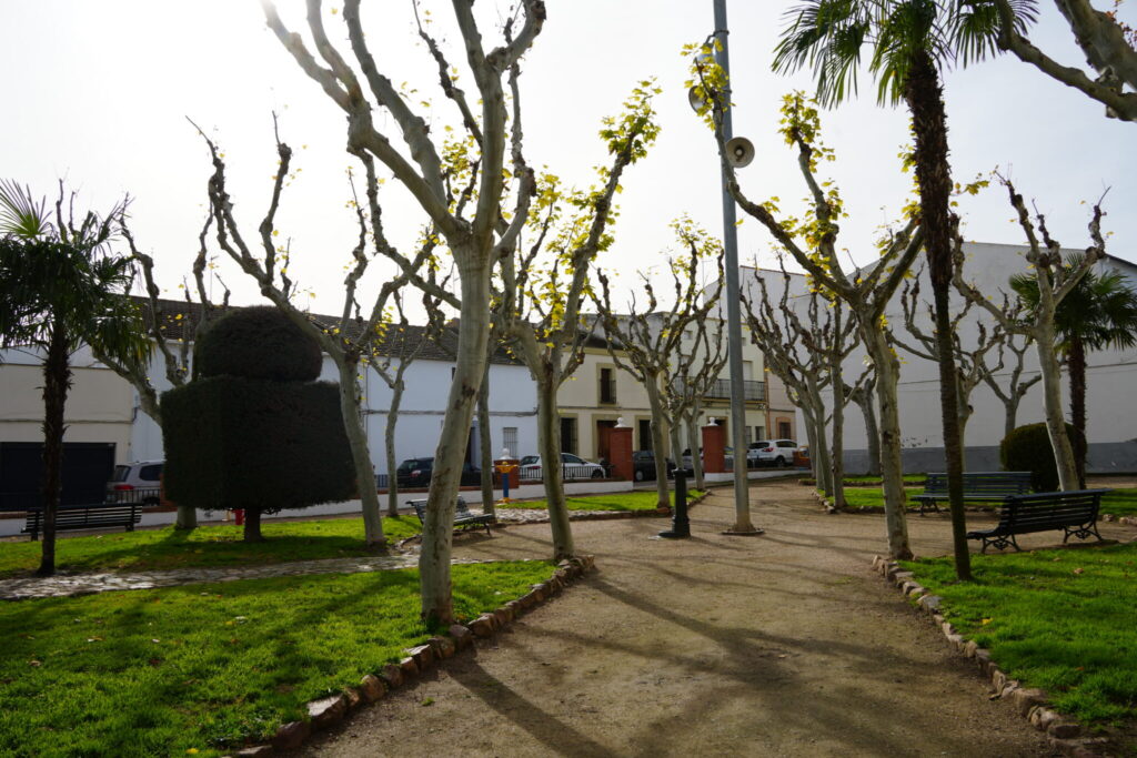 Adjudicada la obra de reorganización del parque de La Marina en el Barrio Nuevo