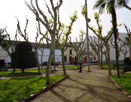 Adjudicada la obra de reorganización del parque de La Marina en el Barrio Nuevo