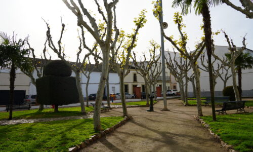 Adjudicada la obra de reorganización del parque de La Marina en el Barrio Nuevo
