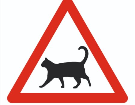 En marcha una campaña para señalizar las zonas en las que existen colonias de gatos
