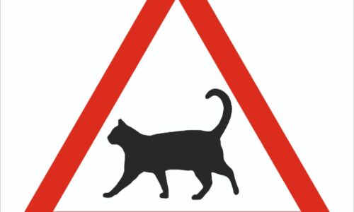 En marcha una campaña para señalizar las zonas en las que existen colonias de gatos