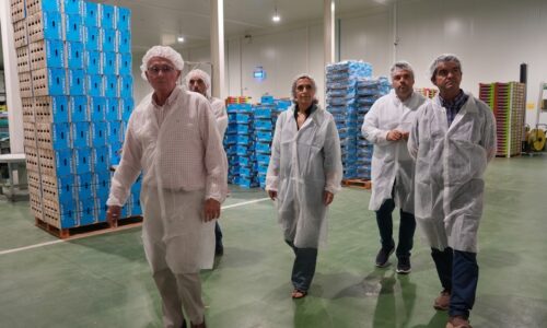 La alcaldesa Ana Belén Fernández visita la cooperativa agrícola San Isidro