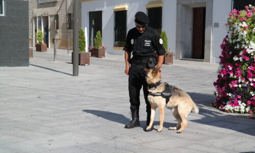 Exhibiciones de unidades caninas de Policía local en el parque canino del canal