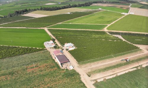 El dron de la Policía Local vigilará los campos para prevenir actos delictivos este verano