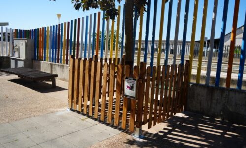 Se habilita un nuevo espacio para una colonia felina controlada