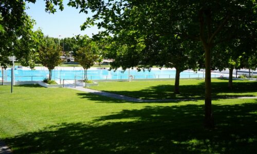Disfruta del eclipse solar y las perseidas en la piscina municipal