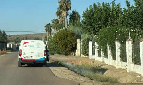 Continúan los trabajos para controlar el Virus del Nilo