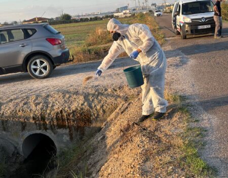 El Ayuntamiento intensifica los tratamientos preventivos contra los mosquitos en todo el término municipal