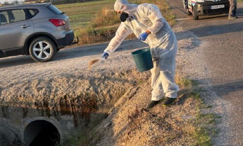 El Ayuntamiento intensifica los tratamientos preventivos contra los mosquitos en todo el término municipal