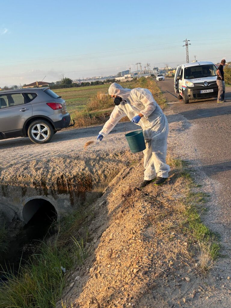 El Ayuntamiento intensifica los tratamientos preventivos contra los mosquitos en todo el término municipal